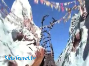Expedition Everest at the top