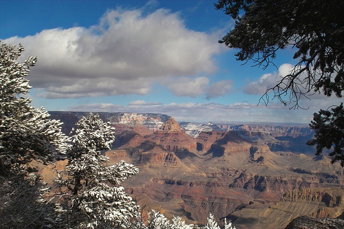 Grand Canyon Arizona Kids Travel